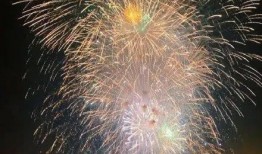 厦门烟花爆料视频,现场实况视频曝光